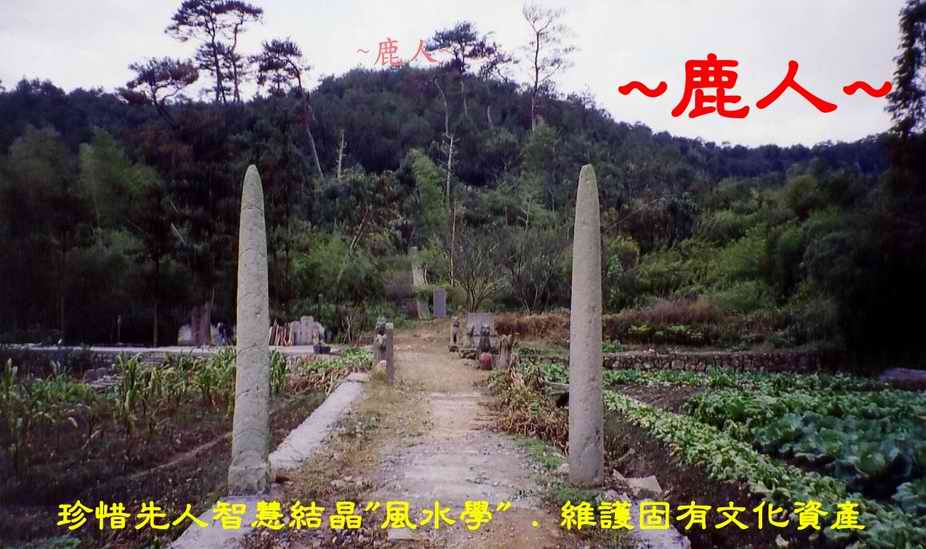 宋史家_翼國夫人墓3.JPG