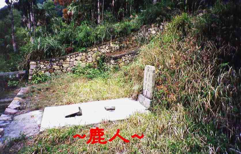 宋史家_翼國夫人墓5.JPG