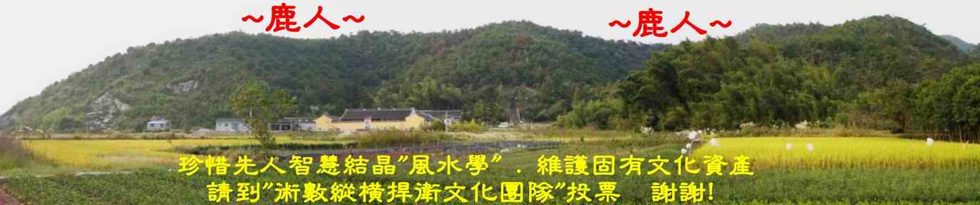 宋史家_翼國夫人墓8.JPG