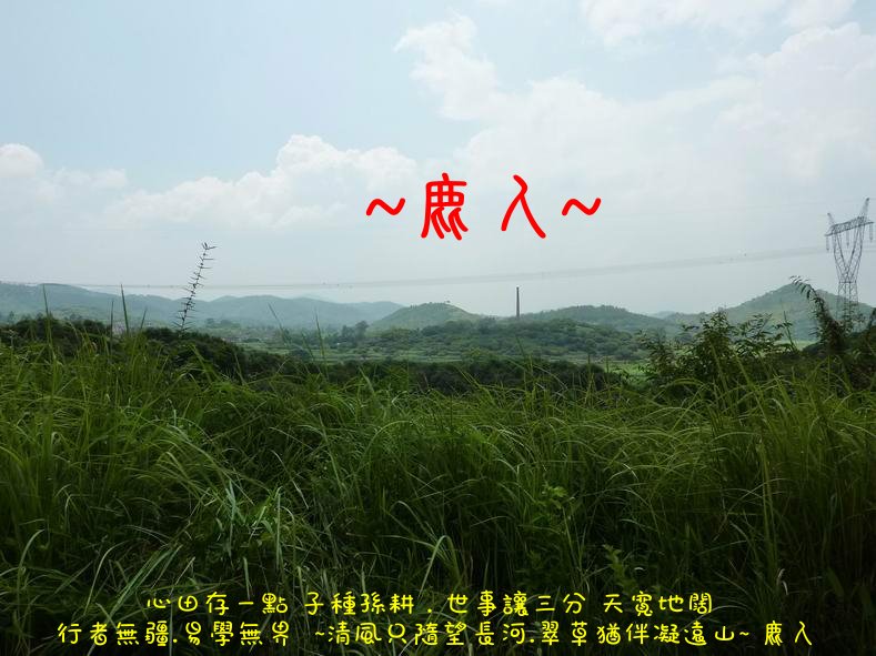 我行我行我佇足_05.JPG