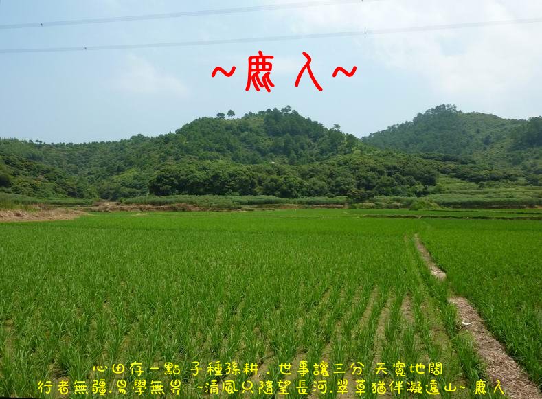 我行我行我佇足_04.JPG