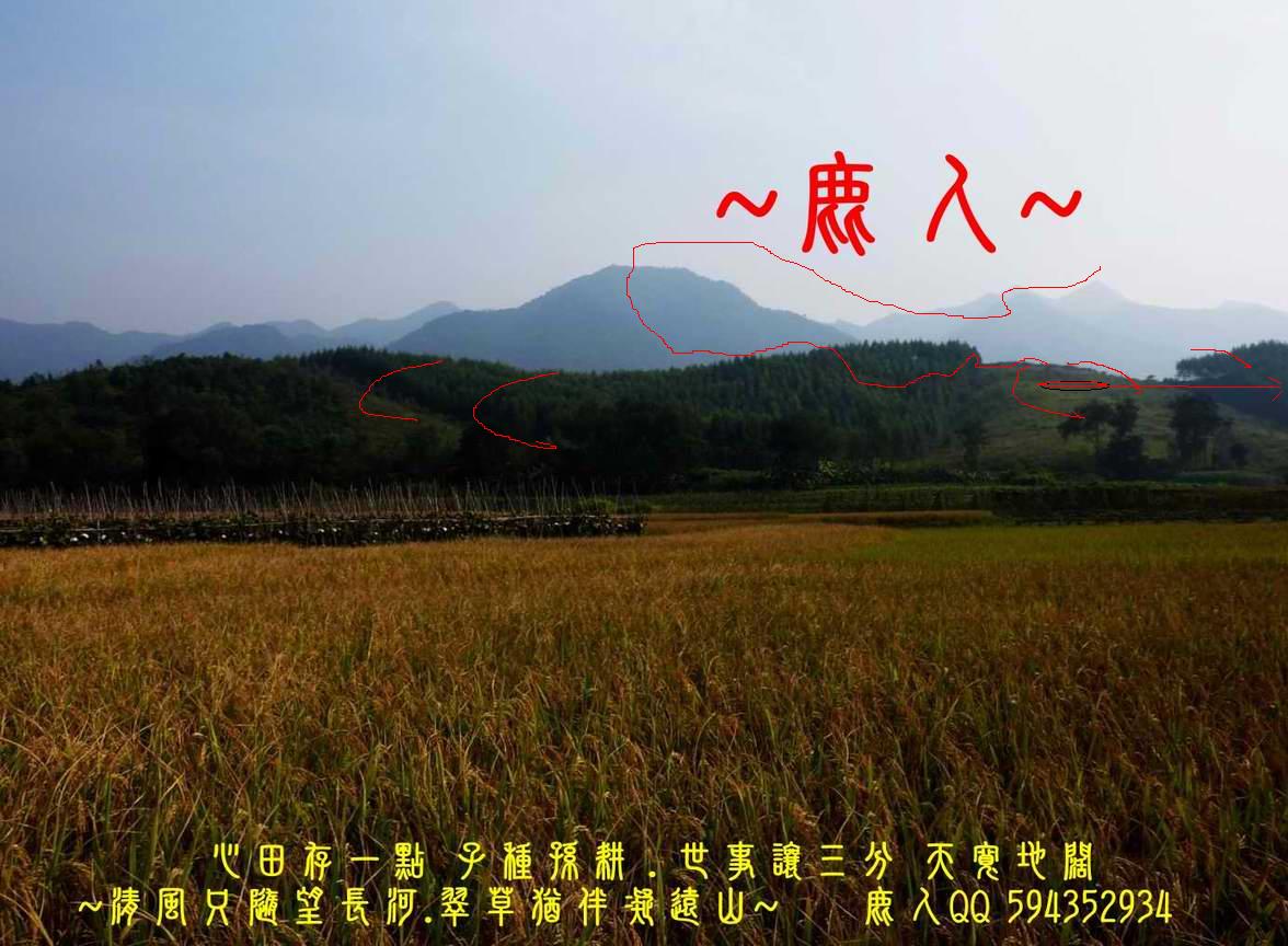 pEC+7l8wMQ==_0ZelXPItezhi.jpg