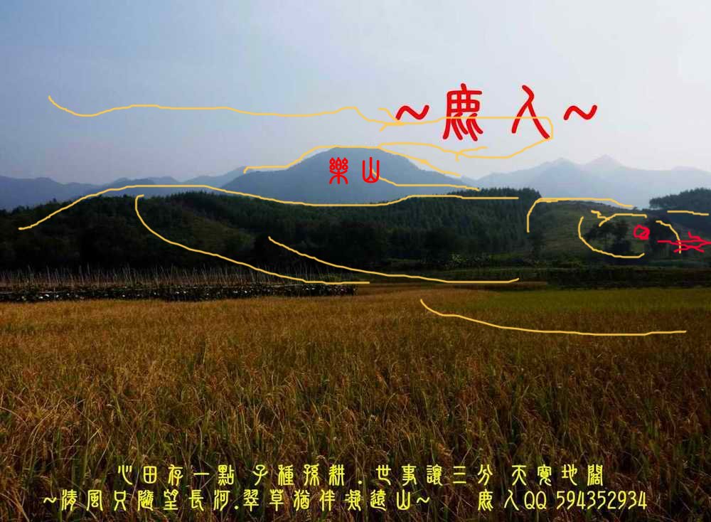 一橫_01(標示).JPG