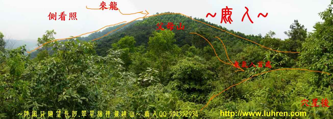 一輪明月照當頭_04(標).JPG