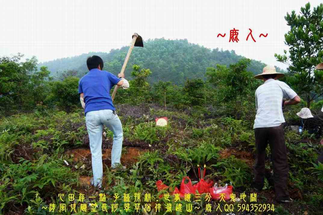 一輪明月照當頭_05.JPG