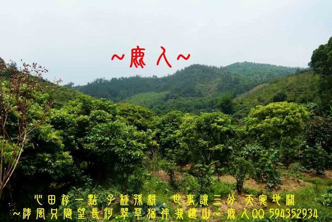 一輪明月照當頭_01.JPG