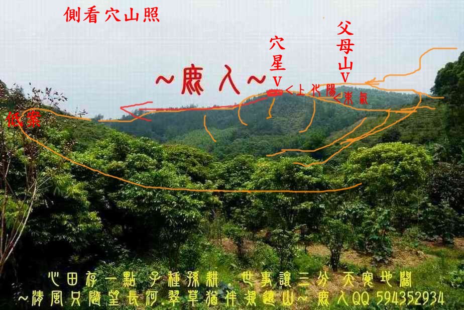 一輪明月照當頭_01(標).JPG