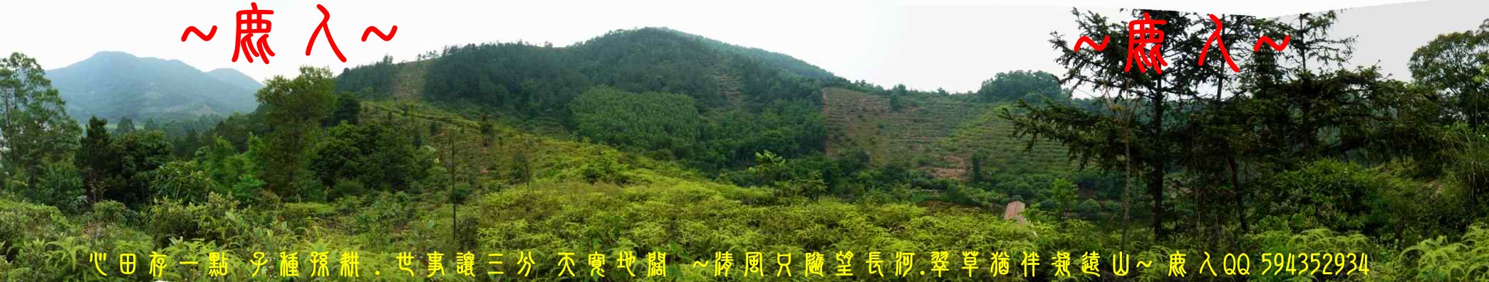 一輪明月照當頭_02.JPG