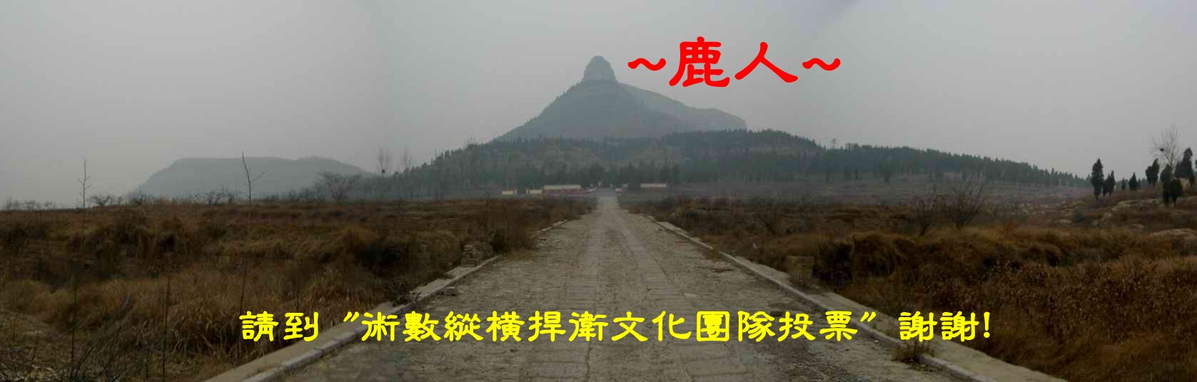 一支~獨秀.JPG