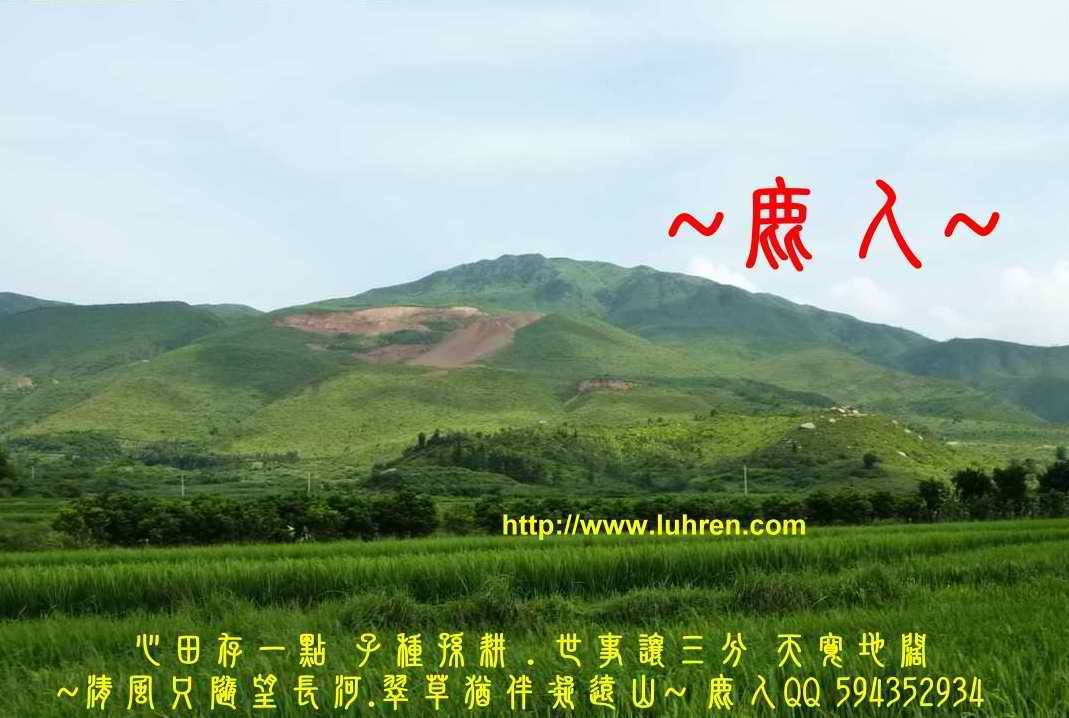 一把罩_212.JPG