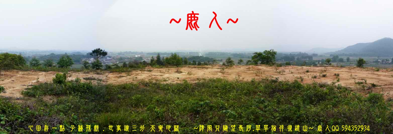 三探老人家_10.JPG