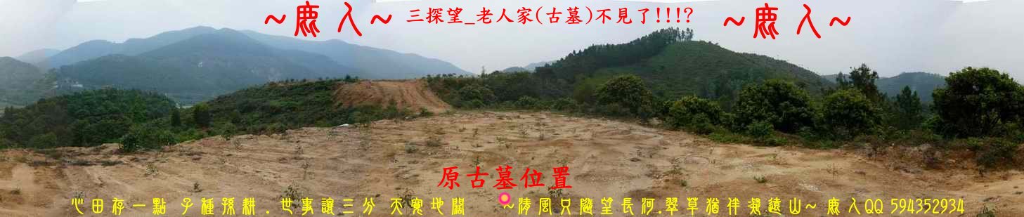 三探老人家_11.JPG
