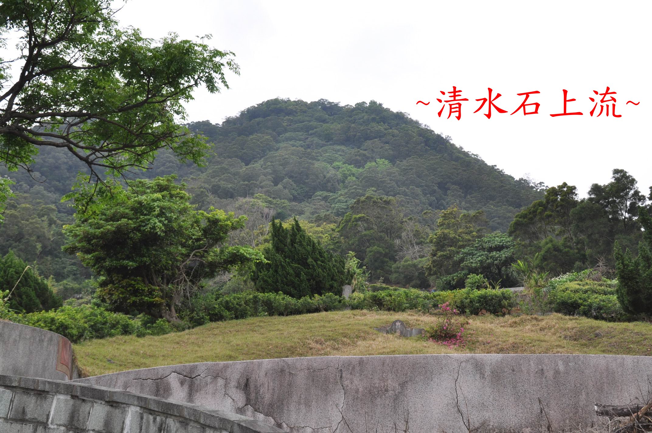 土金下脈2.jpg