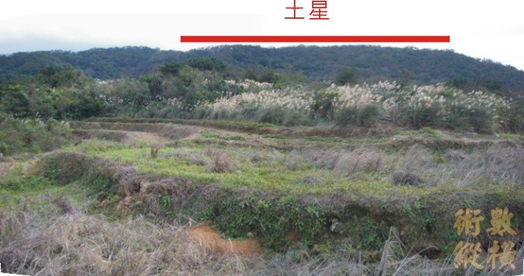 土星加字.jpg