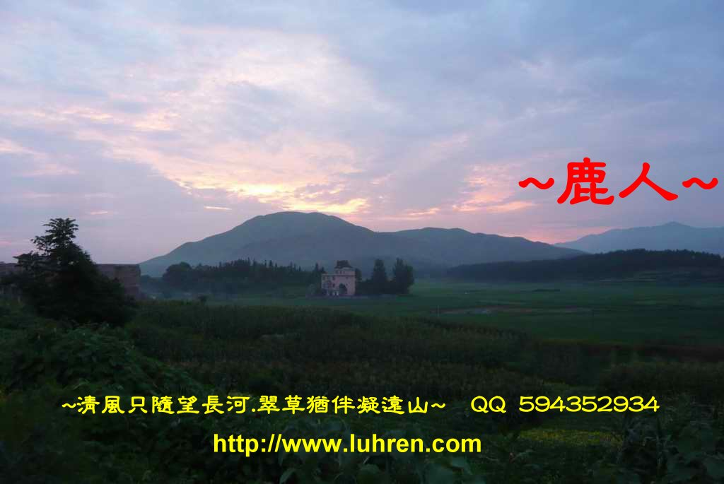 夕陽_298.JPG
