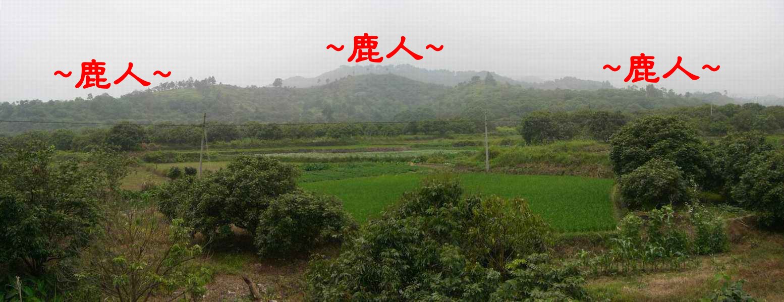 大鉗蟹(穴)_22.JPG
