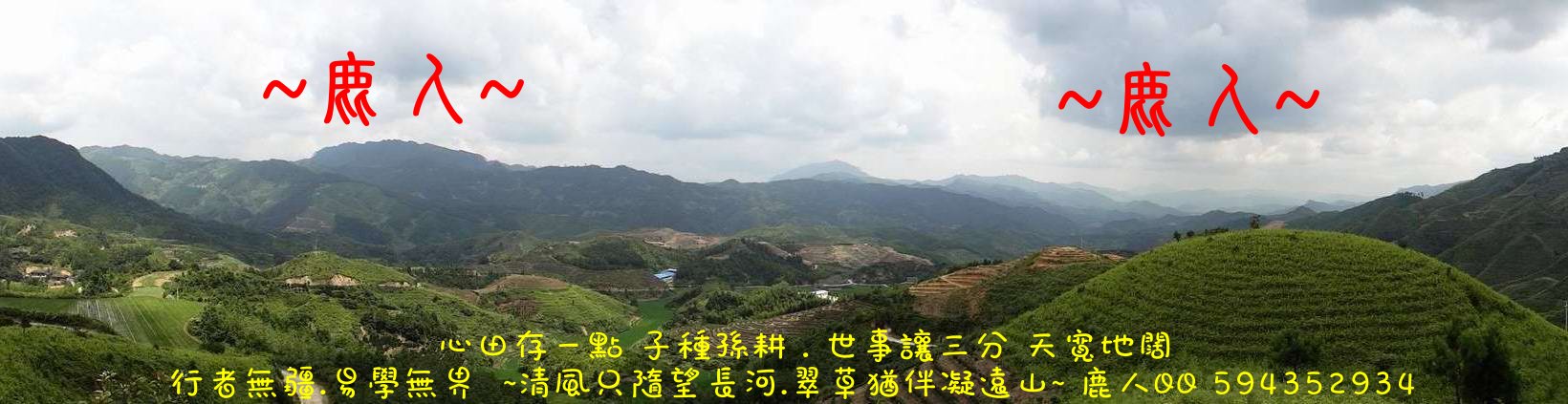 大大的龍818.JPG