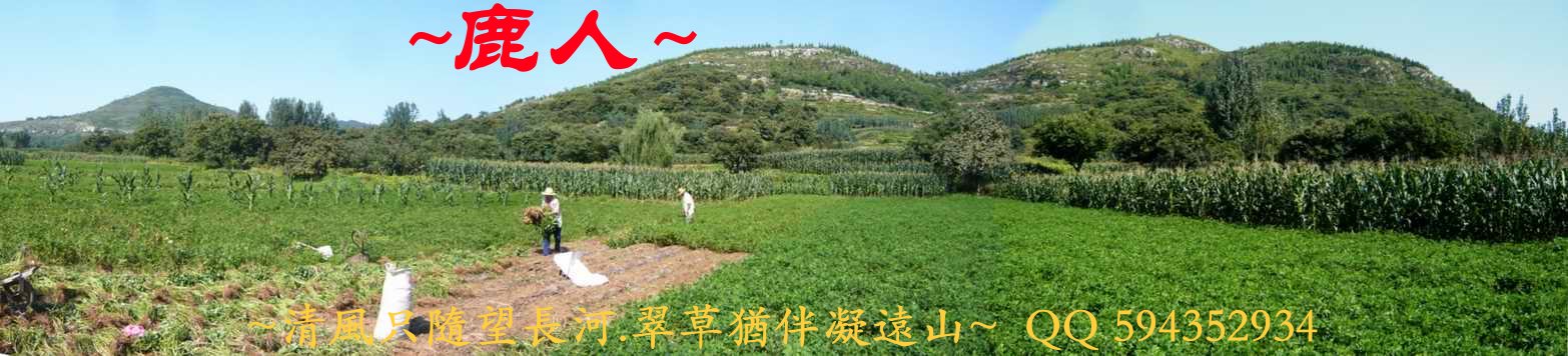 大大龍_06.JPG