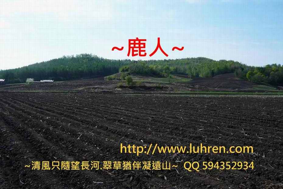 小興安嶺_12.JPG