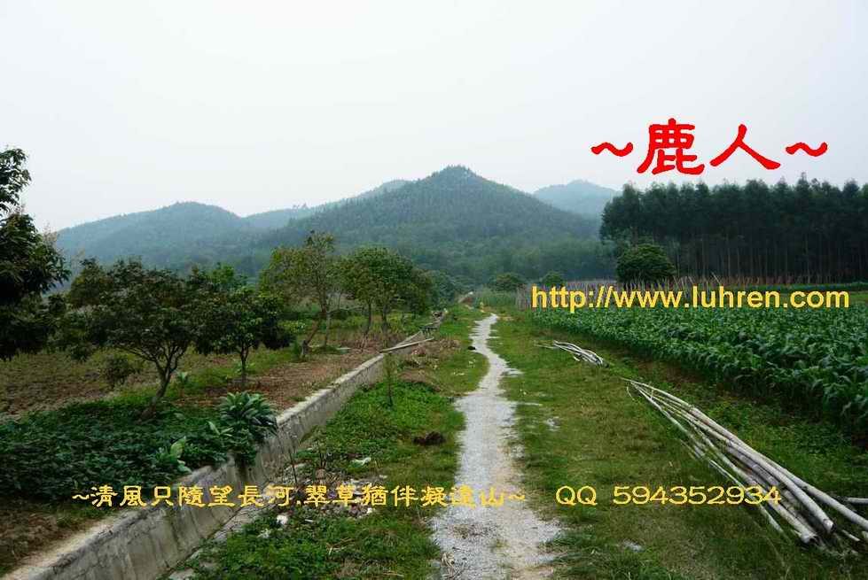 山依樣挺_1.JPG