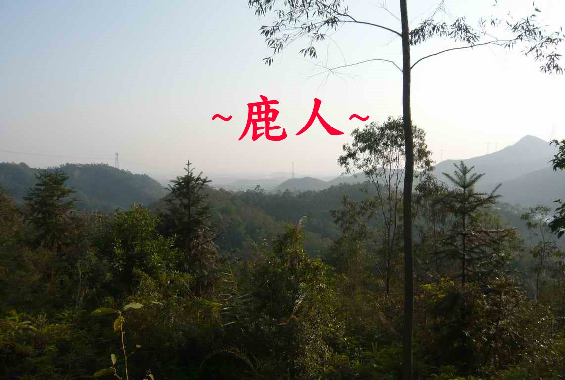 山龍~案山783.JPG