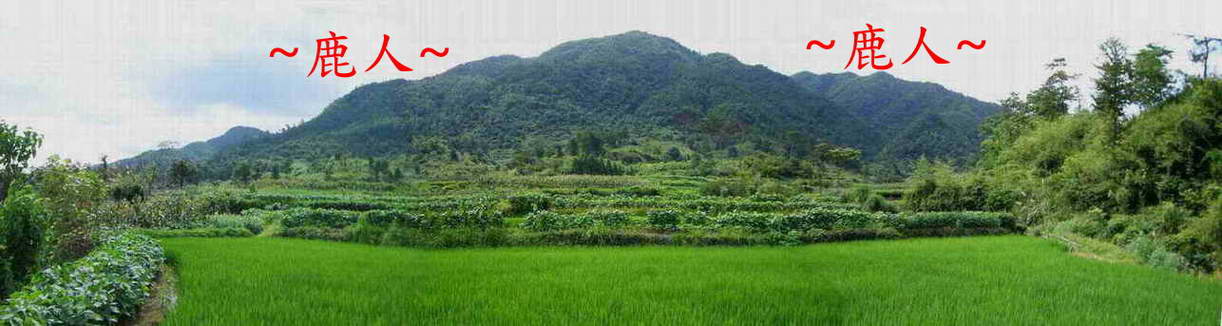 山巒_1859A.JPG
