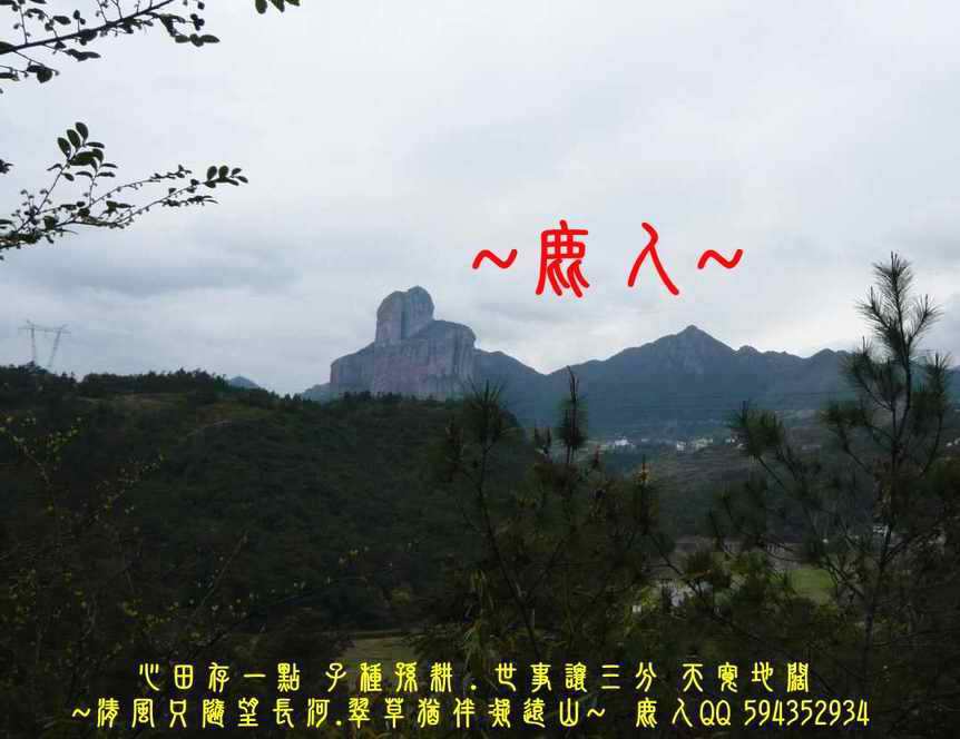天雕地拙_002.JPG