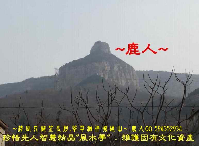 天雕地拙_003.JPG