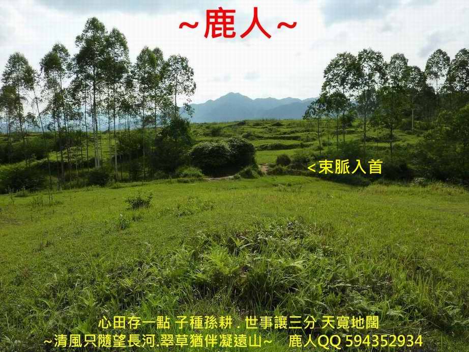 太極_05(標).jpg