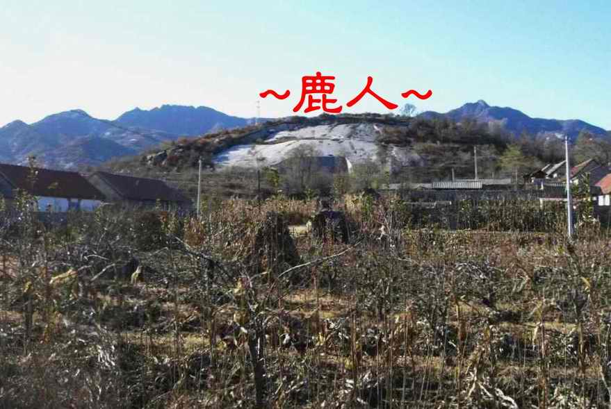 太陰巨石_356.JPG