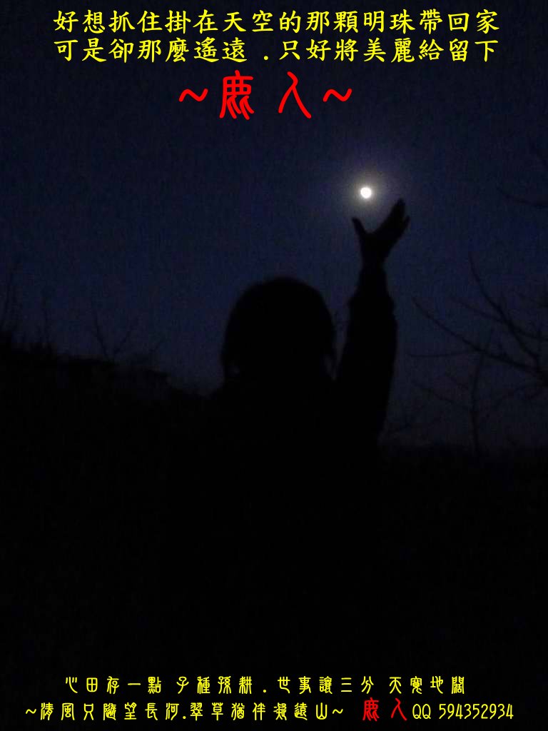 月光_04.JPG