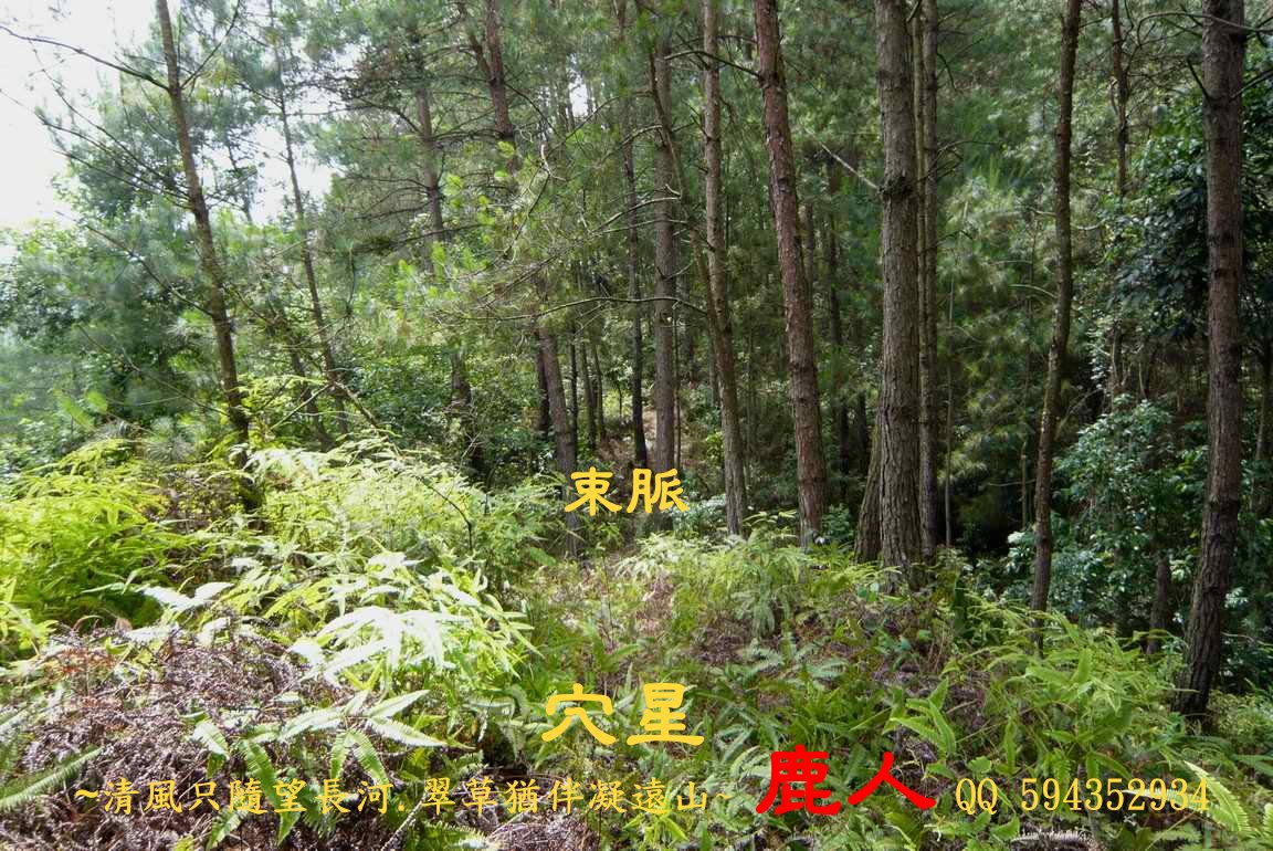 牛8.JPG