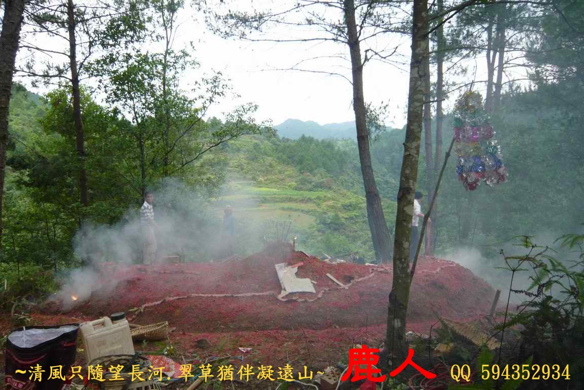 牛12.JPG