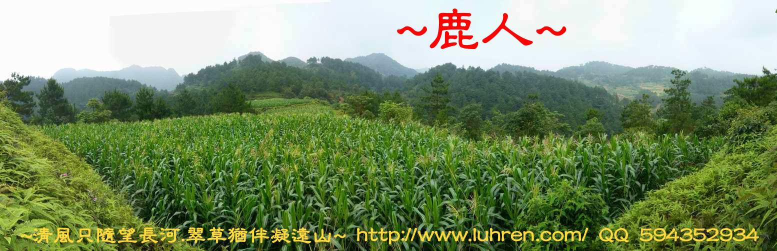 牛2_1.JPG