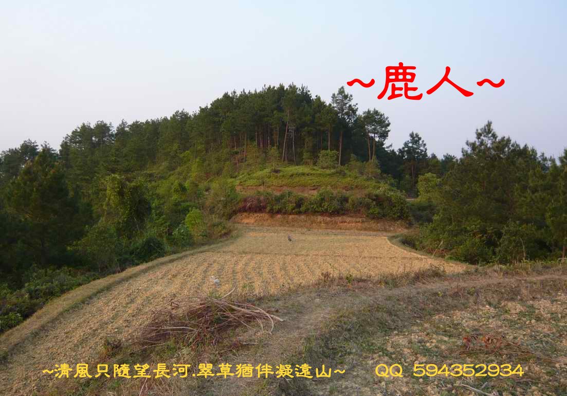 牛3.JPG