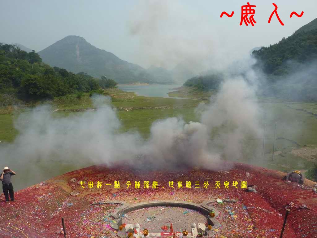 牛_01.JPG