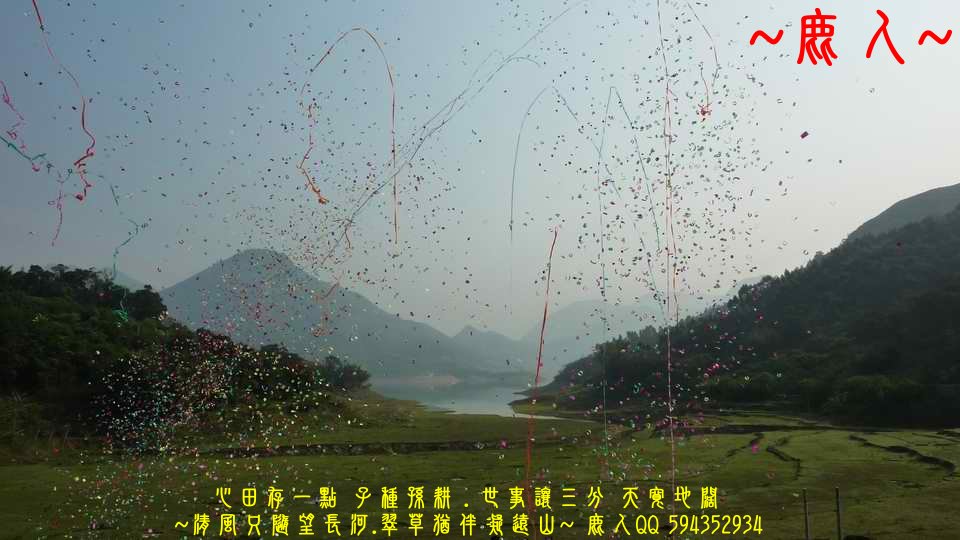 牛_05.JPG