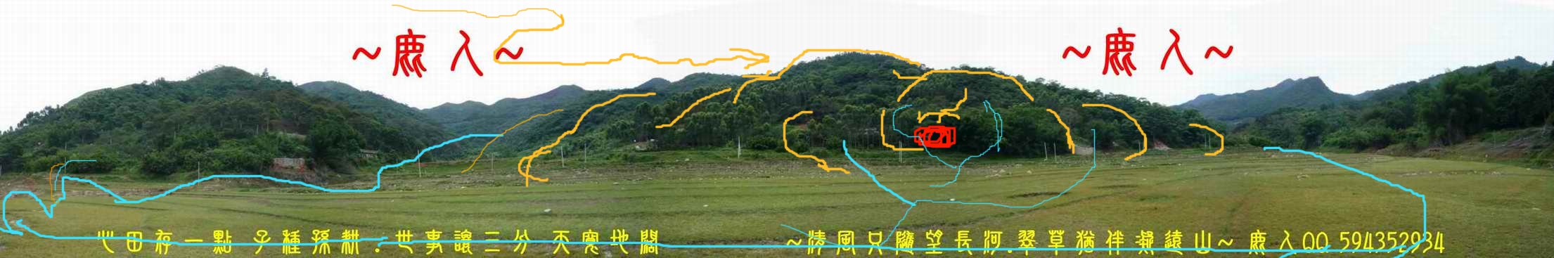 牛_13(標).JPG