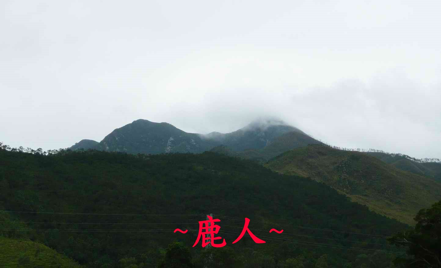 牛呀_5.JPG