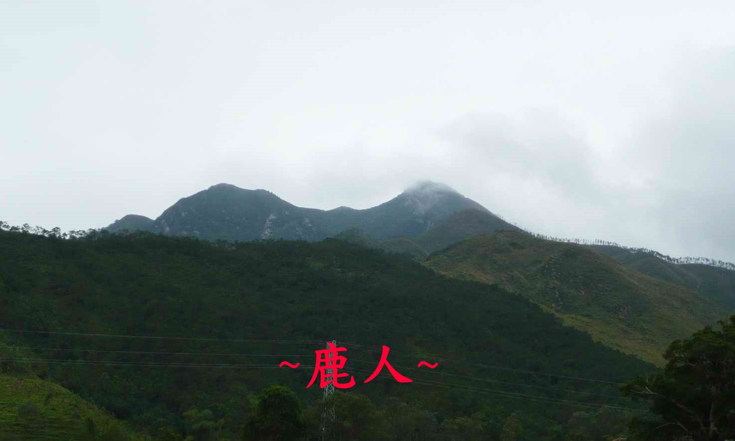 牛呀_6.JPG