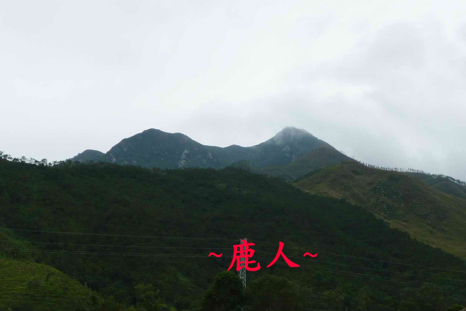 牛呀_7.JPG