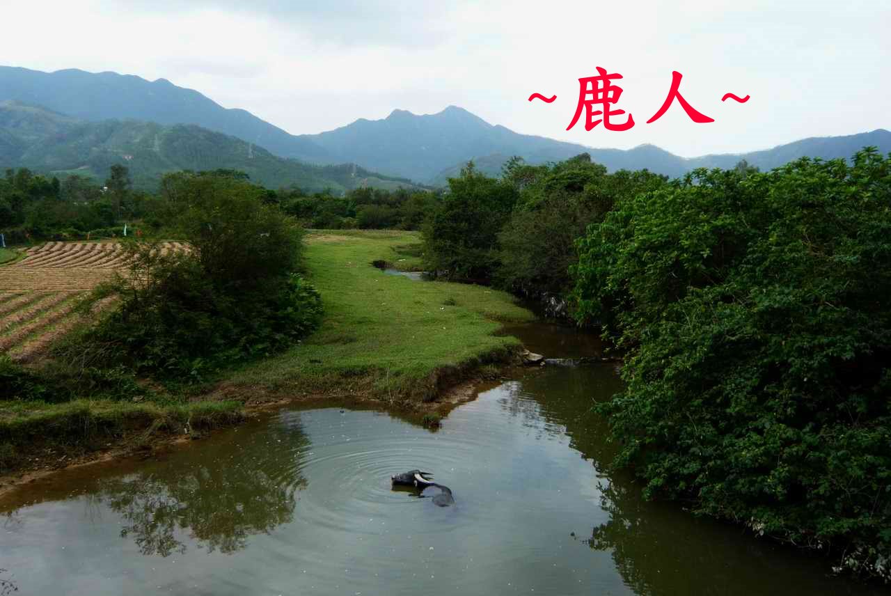 牛呀_9.JPG
