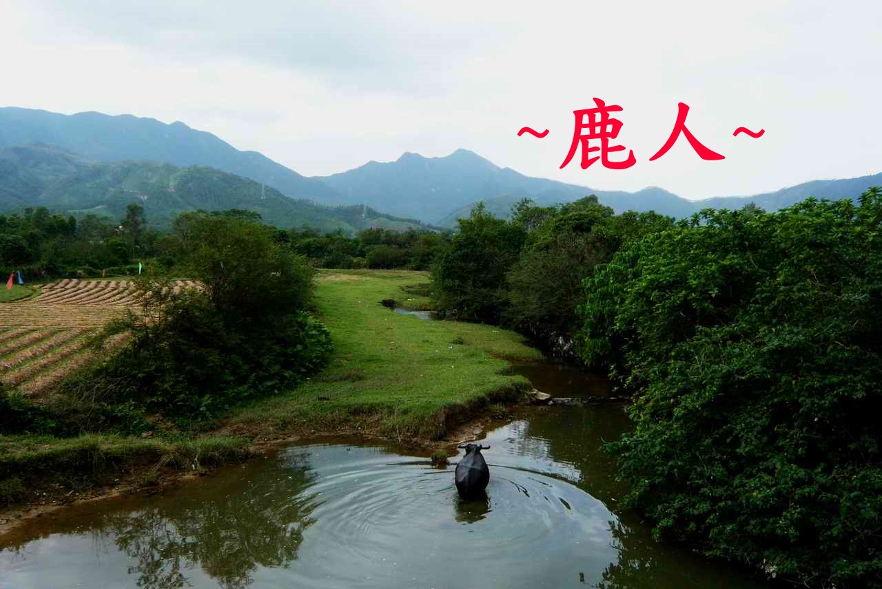 牛呀_10.JPG