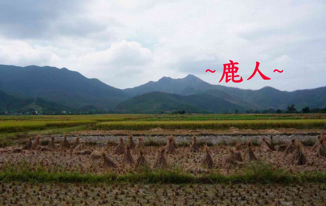 牛呀_12.JPG