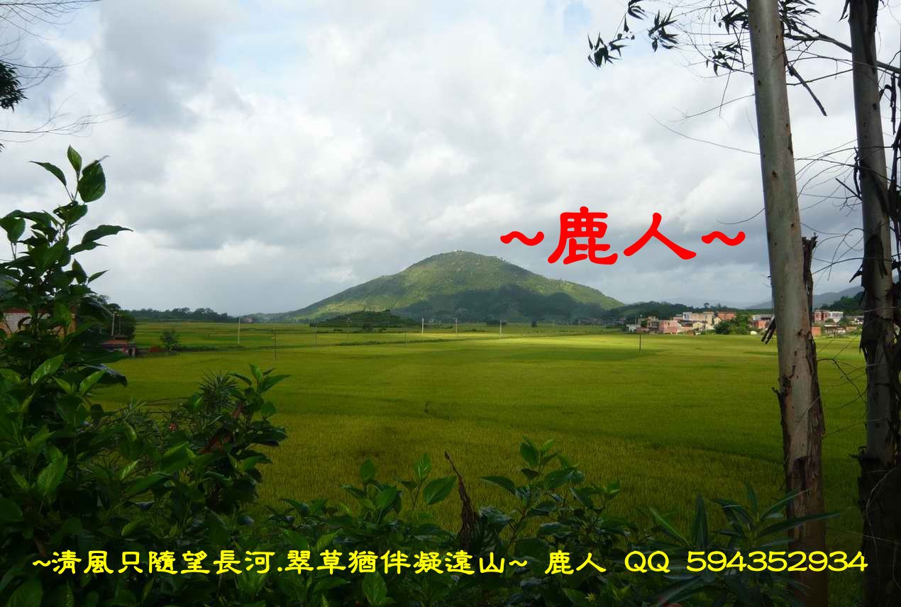 他是我爸爸.JPG