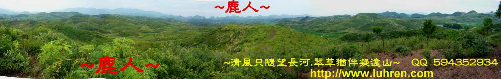 出將_於龍上往前看穴場全景(4).JPG