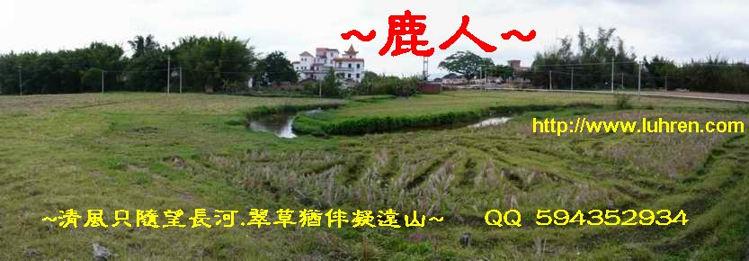 平_969.JPG