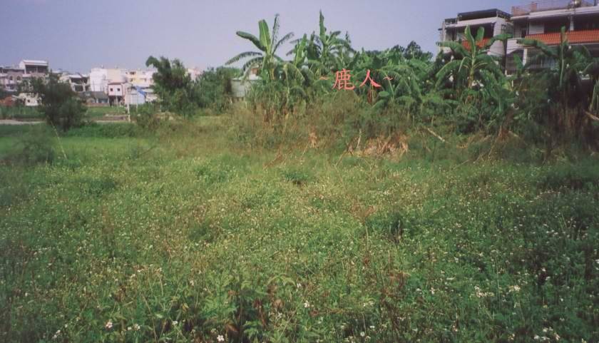 平洋穴(十三)_3.jpg