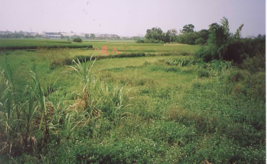 平洋穴(十三)_4.jpg