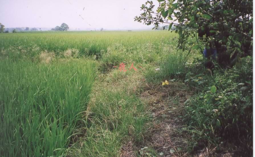 平崗穴22.jpg